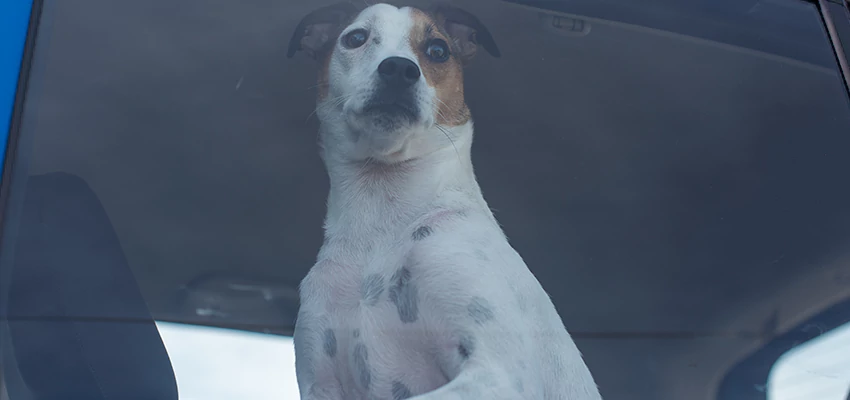 Car Lockout Solutions in Taft, California